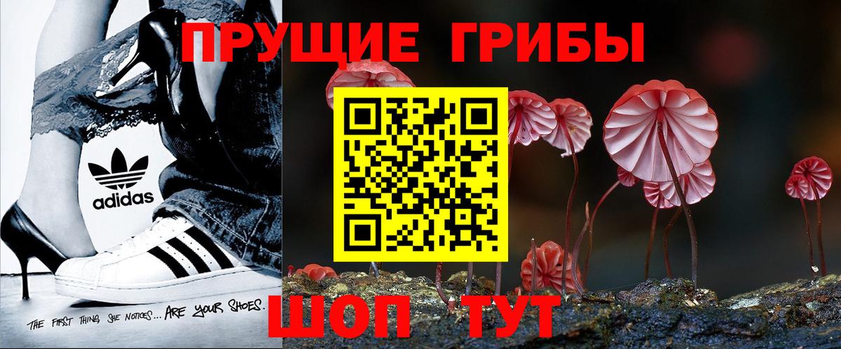 Сергиев Посад  Галлюциногенные грибы GOLDEN TEACHER  даркнет сайт  Вход с VPN 